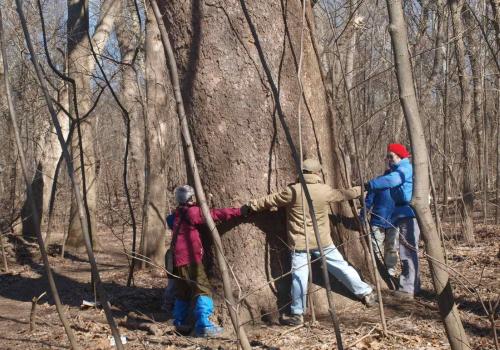 Hikers embrace a tree