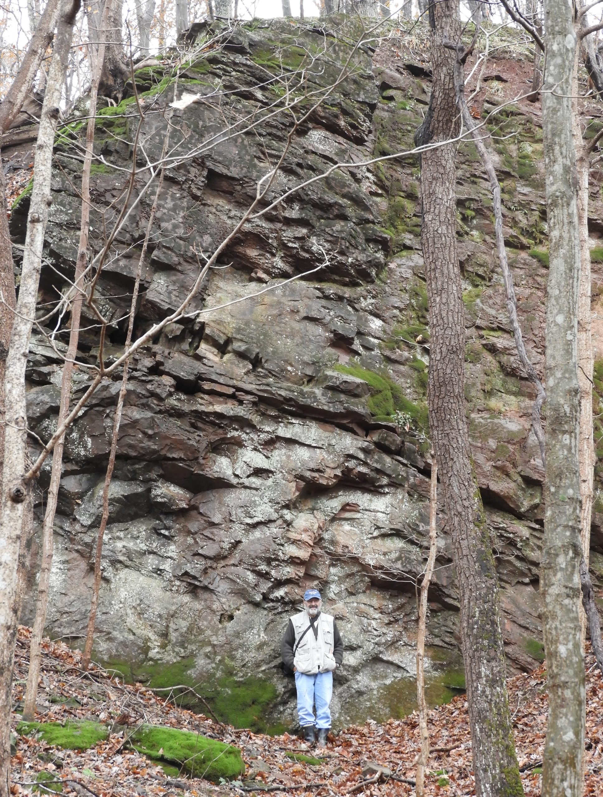 East Wall of the Potomac Marble Quarry